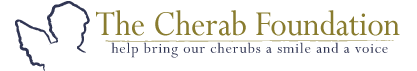 The Cherab Foundation
